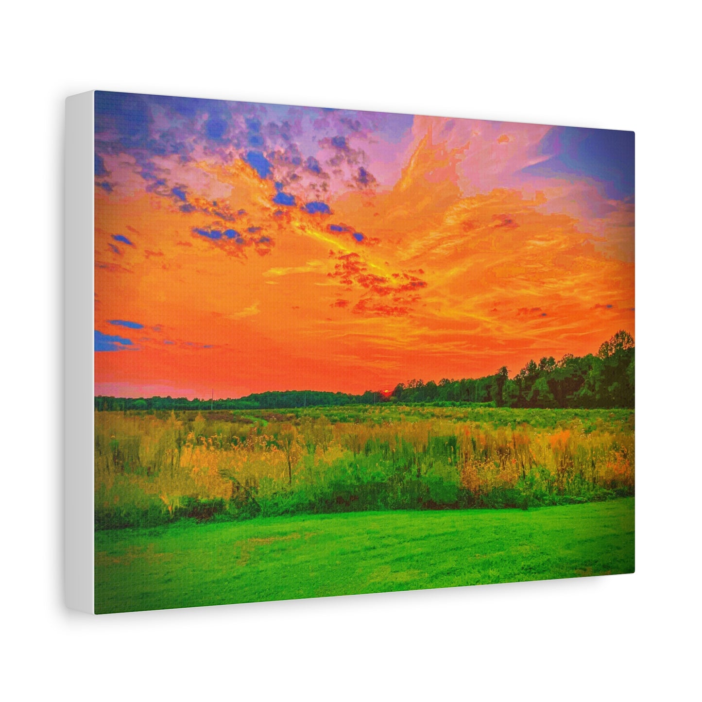 Canvas Print Beautiful Backyard Sunset