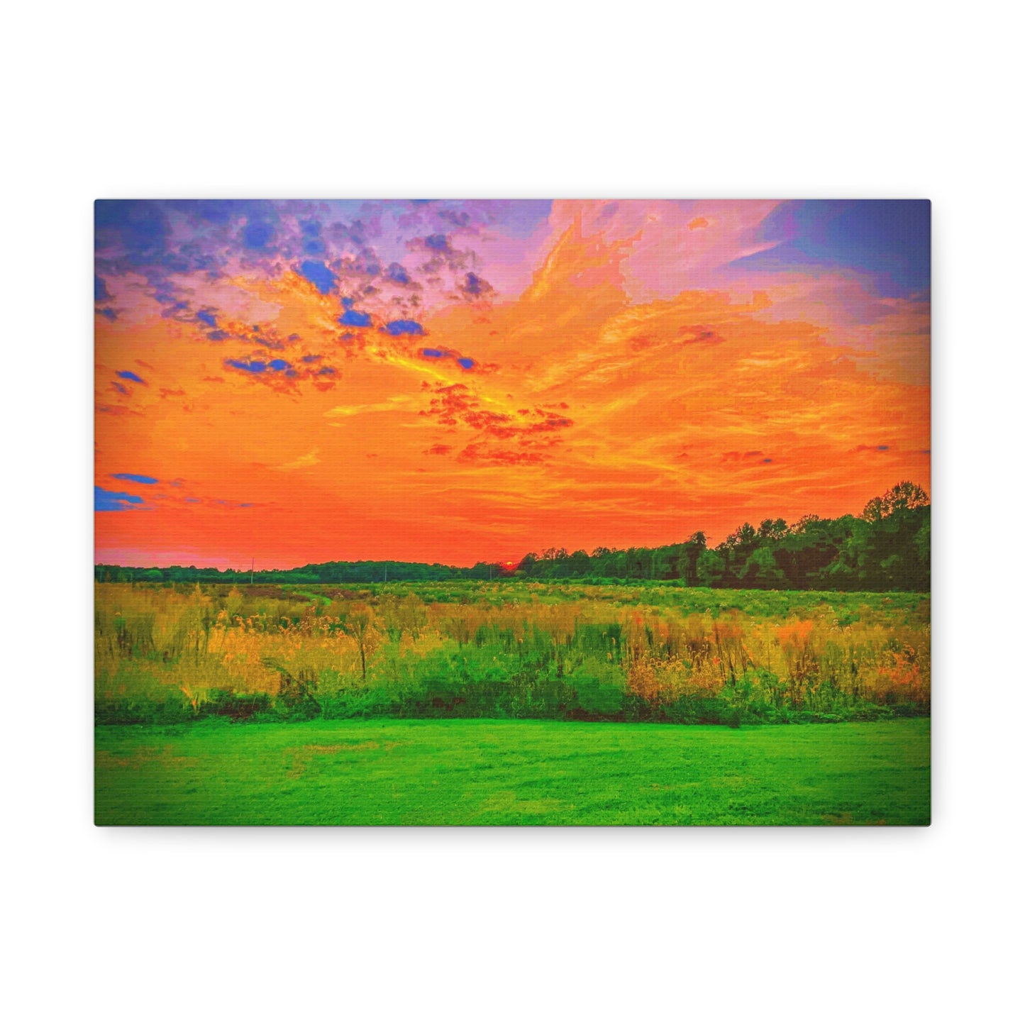 Canvas Print Beautiful Backyard Sunset